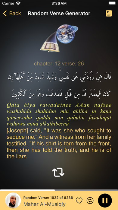 Screenshot #2 pour Random Quran Verse