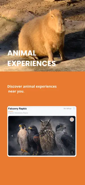 FurrVenture: Places & Events screenshot 2