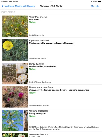 Northeast Mexico Wildflowers iPad screenshot