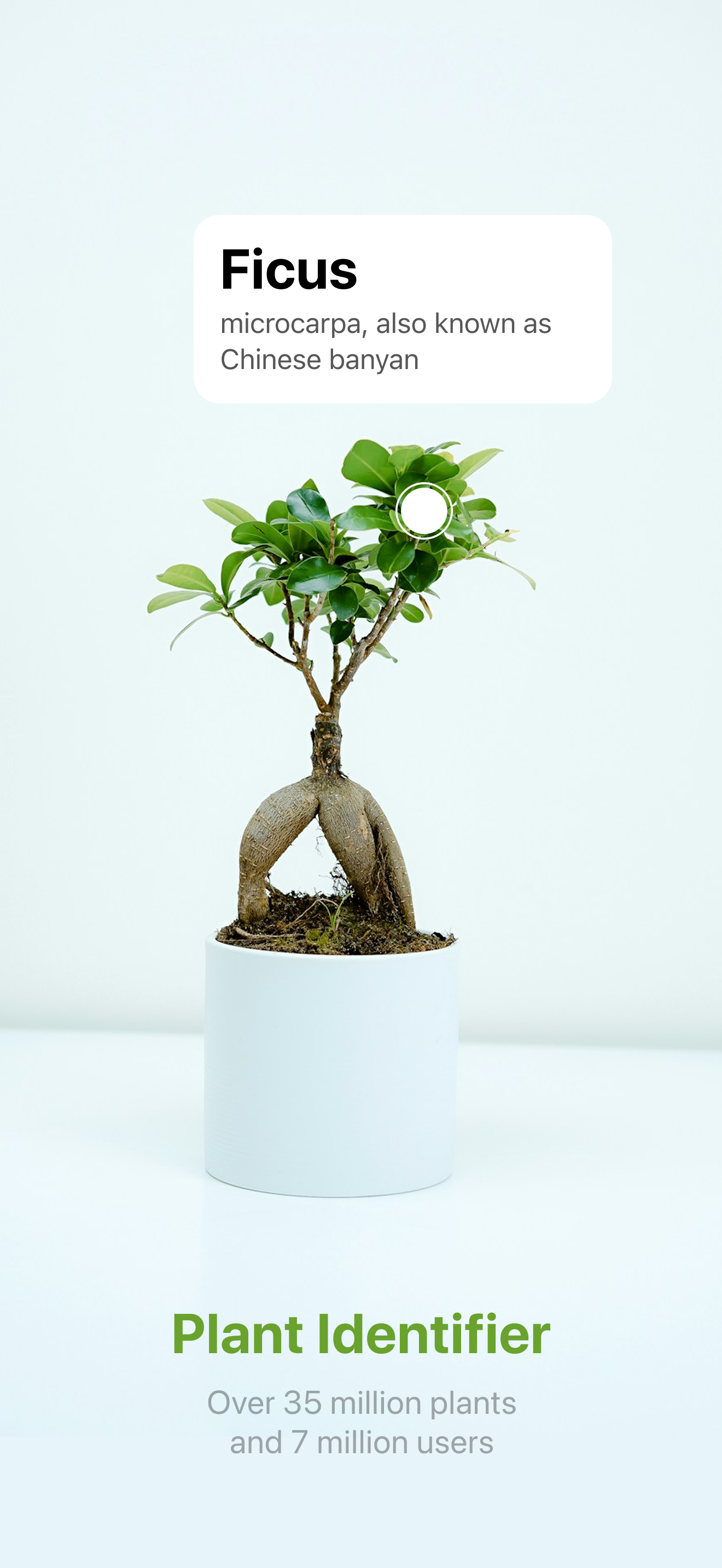 Plant Identifier: Snap scanner