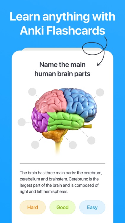 Anki Flashcards Study Smarter By Daniil Tsyrkunou Anki Flashcards Study Smarter By Daniil Tsyrkunou