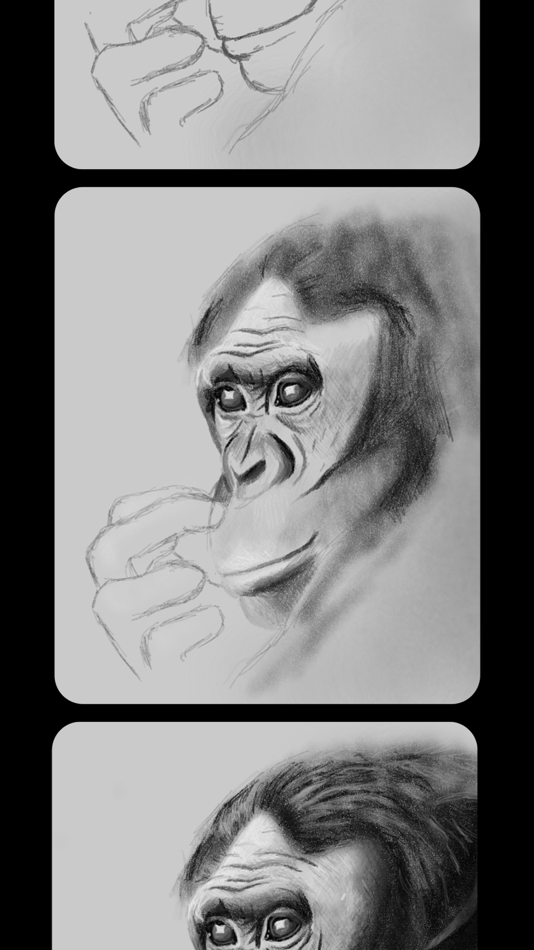 #8. Flow: Note Taking, Drawing Pad (iOS) 由: Bonobo