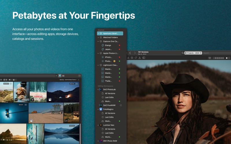 AI Media Organizer - Peakto Screenshot