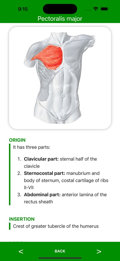 Muscle Flashcards Pro