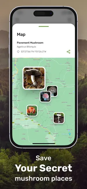 Mushroom Picture Identifier screenshot 3