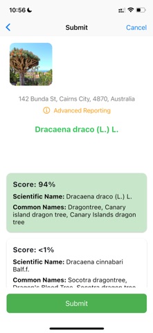 Urban Tree Detective Screenshot 2 of 5
