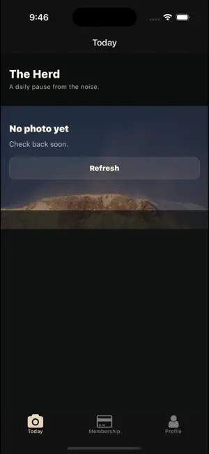 The Herd Wild Horses screenshot 2