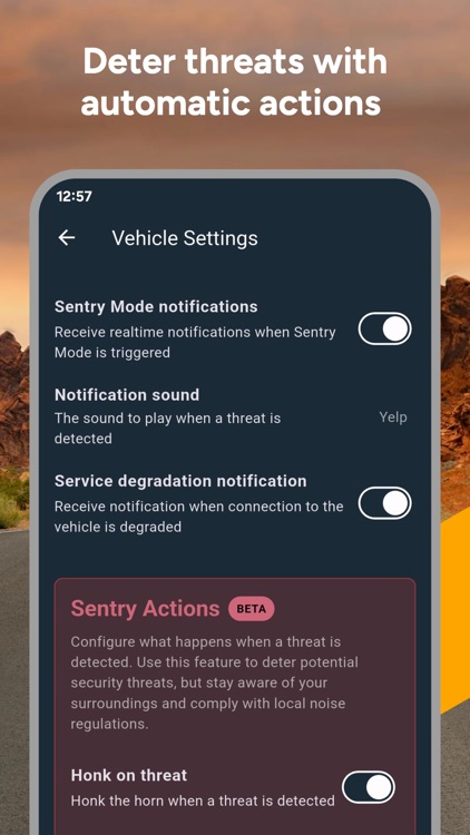 Sentry Pro—For your Tesla