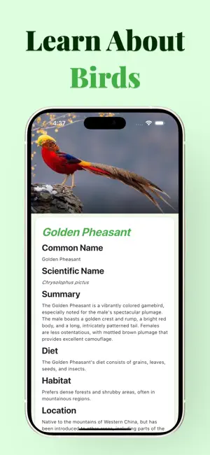 Bird Identifier - BirdSnap screenshot 2