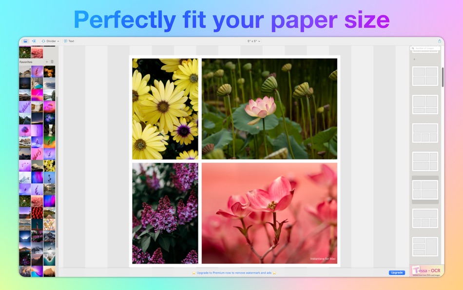 #6. Collage Maker - Instantane (macOS) 由: Abdulqadir Rashik
