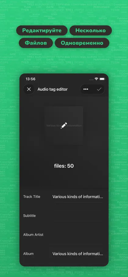 Captura 3 de 6 de Evertag: Music Tag Editor