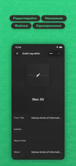 Скриншот Evertag: редактор аудио тегов на iPhone 3