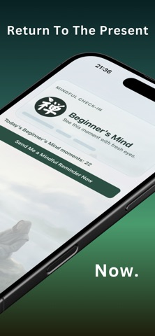 Beginner's Mind screenshot