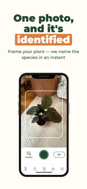 Arroseo: Plant Care Companion screenshot 2