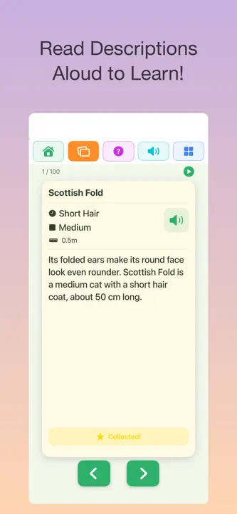 100 Cats: Kids Encyclopedia screenshot 5
