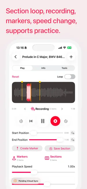 Musician's Looper screenshot 2