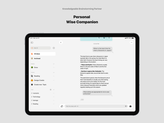 ideaShell: Compañero IA iPad screenshot 5