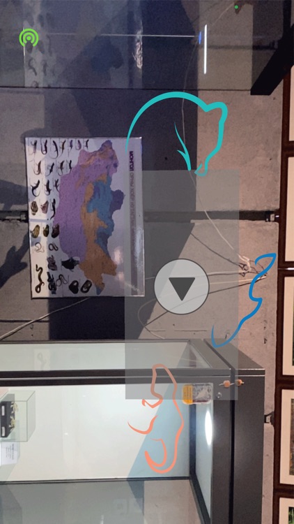 Байгалийн Түүхийн Музей screenshot-3