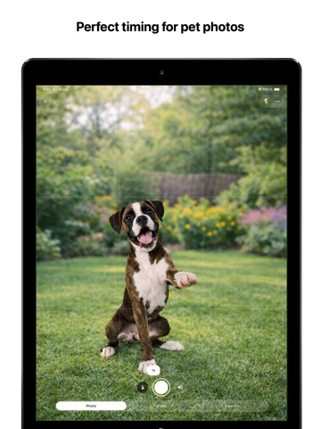PetSnap - Camera iPad screenshot