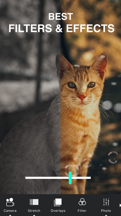 VIMAGE 3D Live Photo Animation screenshot-4