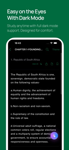 South Africa's Constitution screenshot