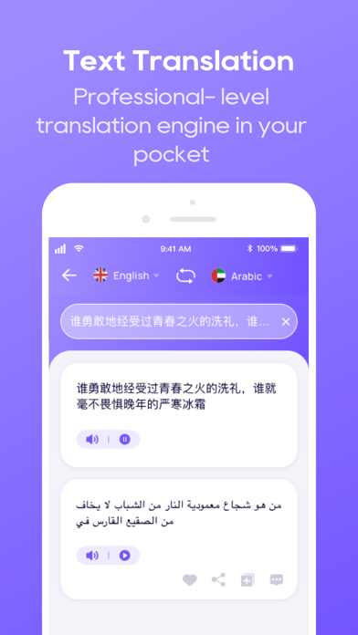 Translate Now - Document Screenshot