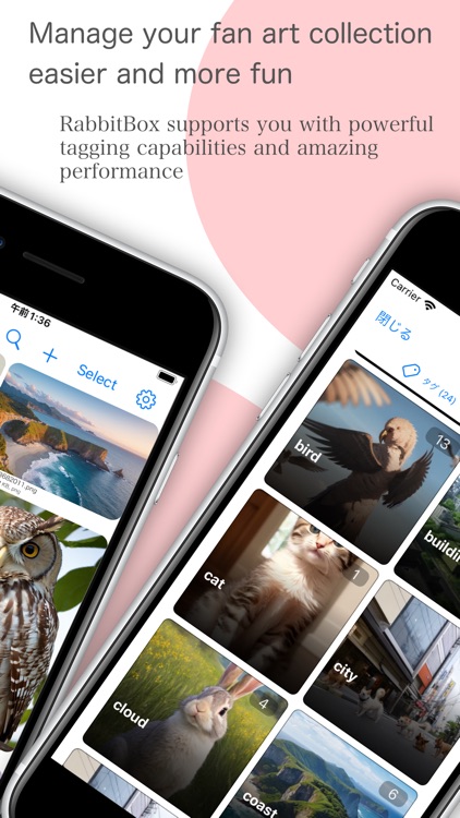 RabbitBox - Image Organizer