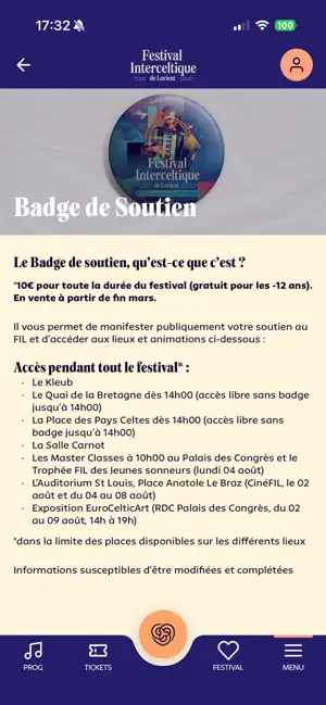 Festival Interceltique Lorient screenshot 4