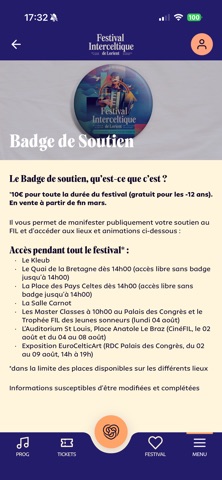 Festival Interceltique Lorient Screenshot 4 of 5