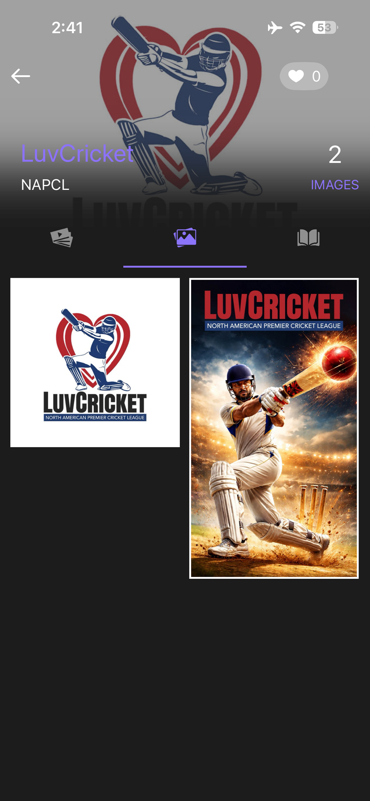 LuvCricket screenshot 3