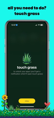 touch grass: screen time limit Screenshot 4 of 5