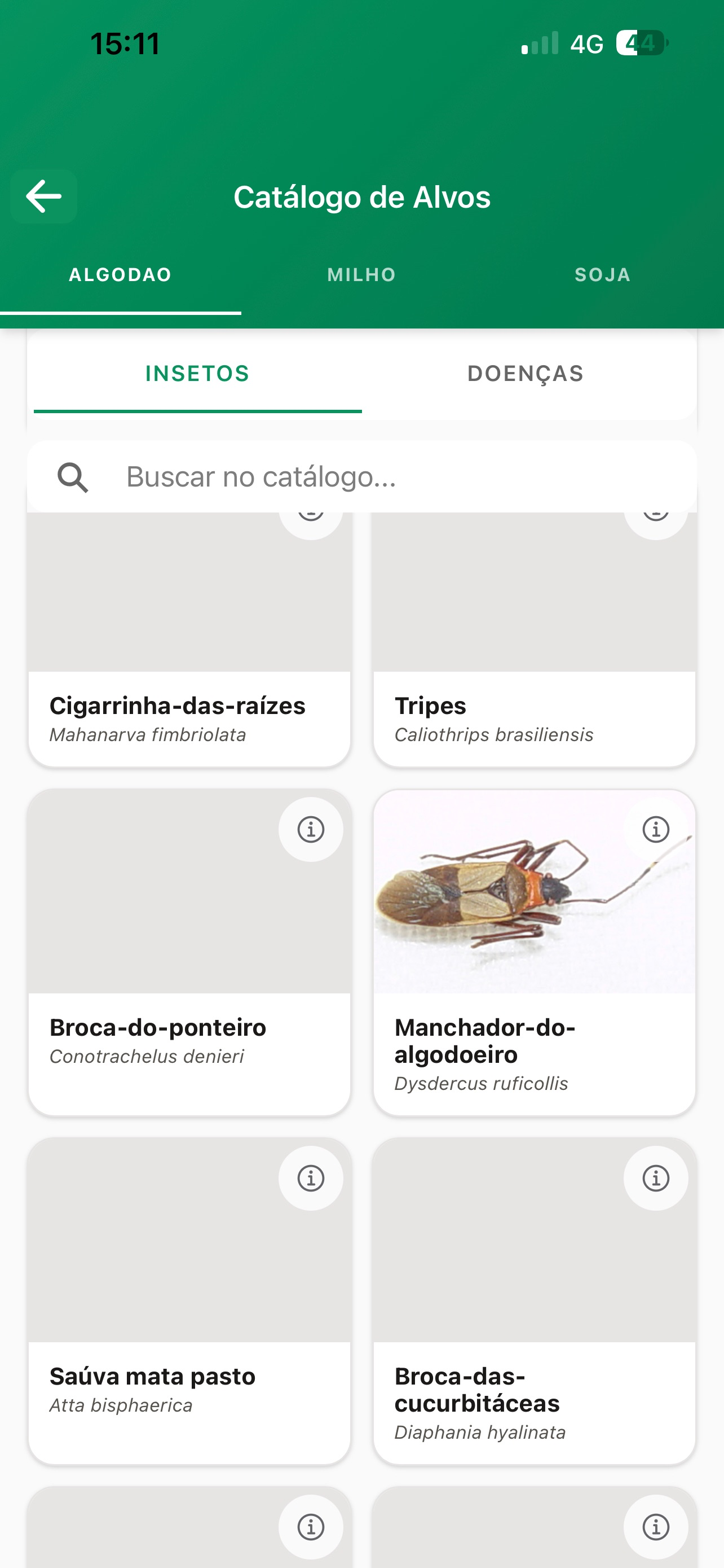 BF Fito screenshot 3