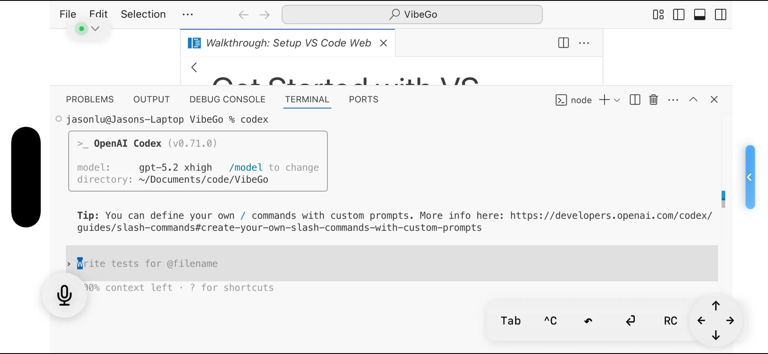 #10. VibeGo – Mobile Code Editor (iOS) โดย: Terceseht LLC