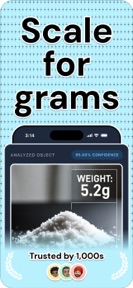 Gram Scale - ScalePro screenshot