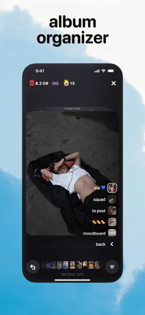 Photo Organizer: Picnic screenshot 3