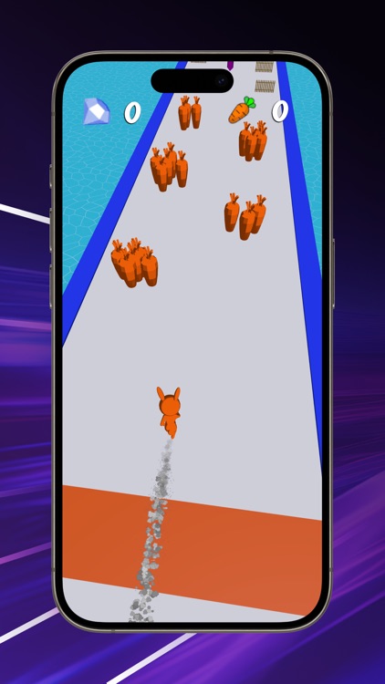 Rabbit Race to Fortune