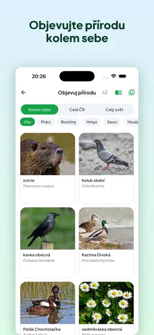 Tweenip screenshot 4
