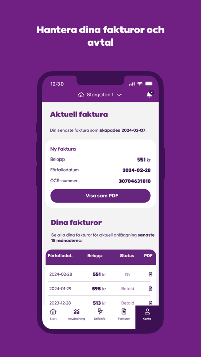Skellefteå Kraft Screenshot