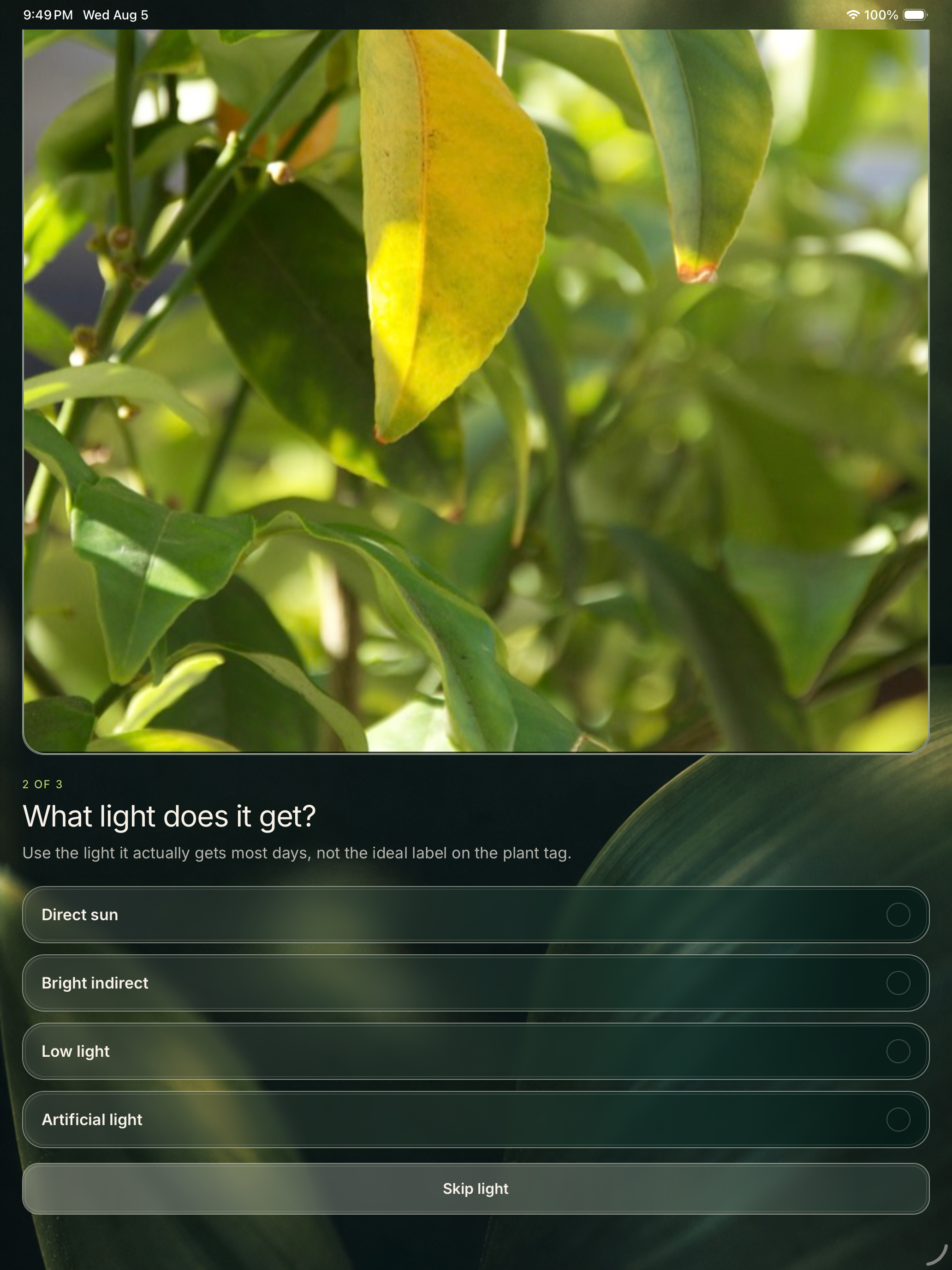 PlantClue - Plant Doctor screenshot 6