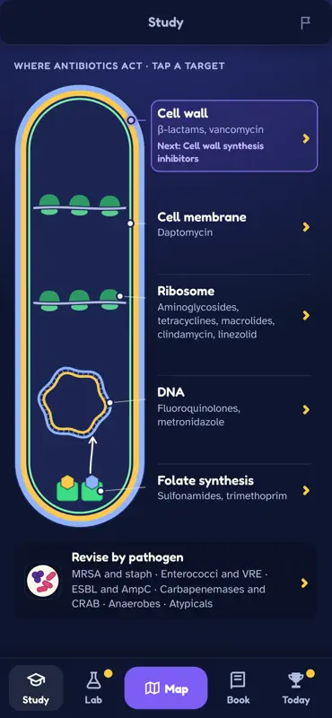 Go Narrow: Antibiotics Game screenshot 4 of 9