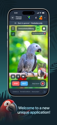 ParrotsChat screenshot