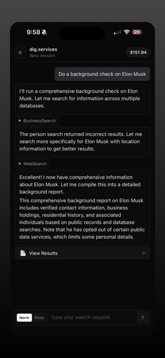 dig.services Screenshot 3 of 4