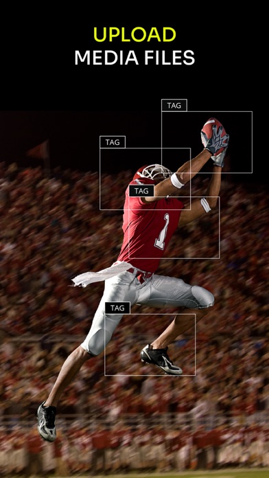 WSC Sports Screenshot