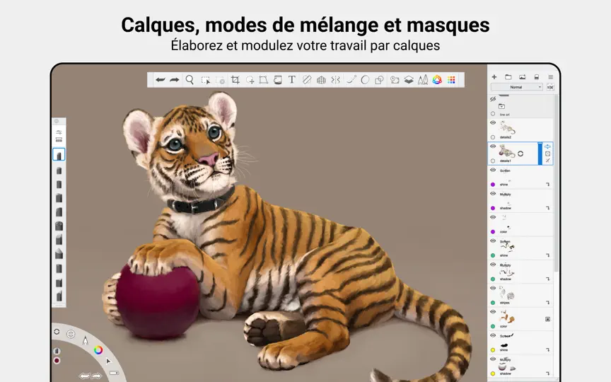 Capture d'écran de Sketchbook Pro sur iPhone 5