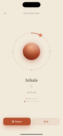 Somatic: Guided Breathing Screenshot 4 of 4
