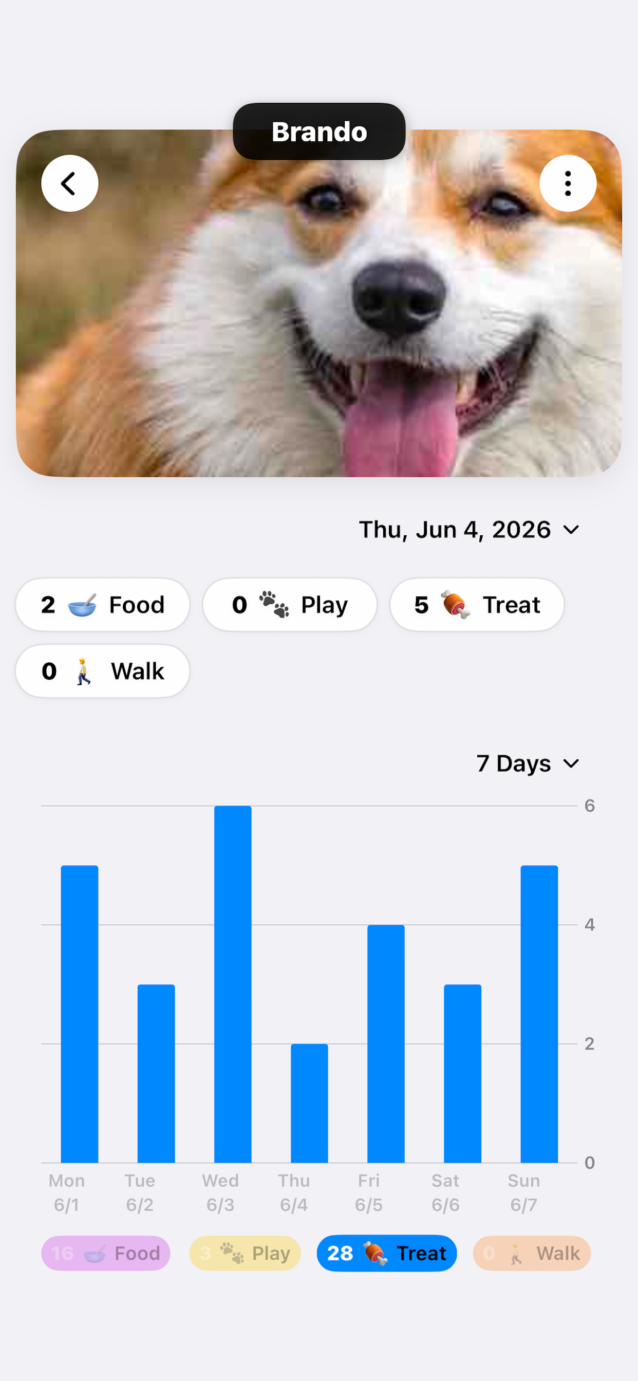 COPA Pet screenshot 7
