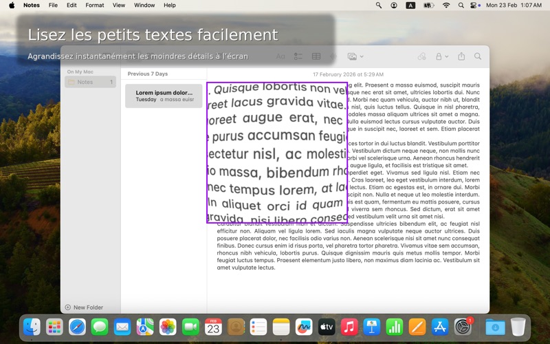 Screenshot #2 pour Desktop Lens PRO
