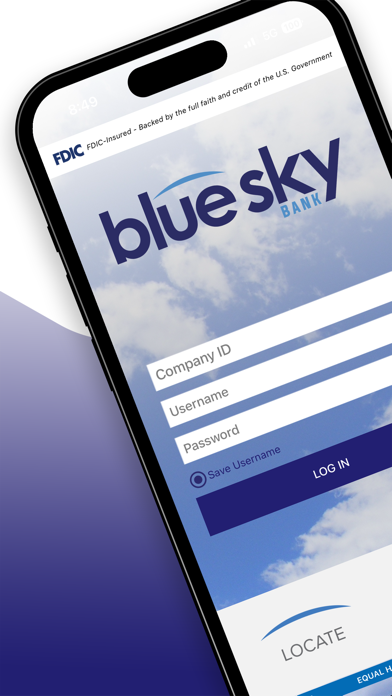Blue Sky Bank Business Screenshot