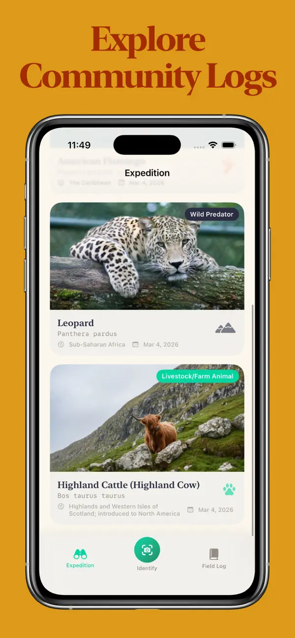 Screenshot #3 pour Animal Identifier