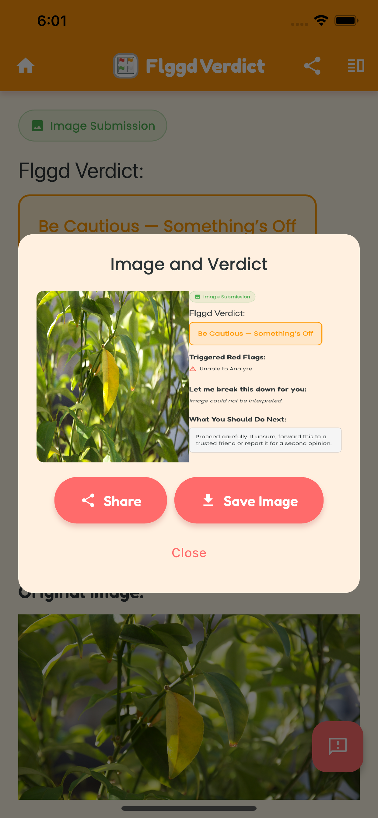 Flggd – Scam & Fraud Detector screenshot 5